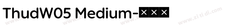 ThudW05 Medium字体转换